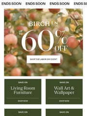 Email Inspiration from Birch Lane