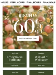 Email Inspiration from Birch Lane