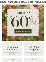 Email Inspiration from Birch Lane