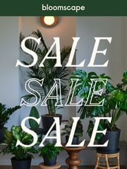 Email Inspiration from Bloomscape