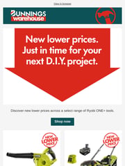 Email Inspiration from Bunnings