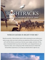 Email Inspiration from Bushtracks Expeditions