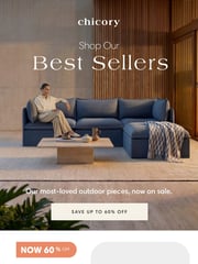 Email Inspiration from Chicory