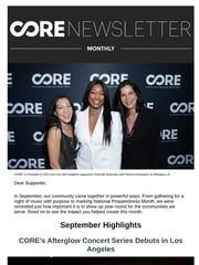 Email Inspiration from CORE (Community Organized Relief Effort)