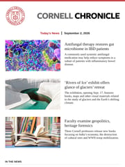 Email Inspiration from Cornell Chronicle