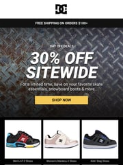 Email Inspiration from DC Shoes