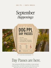 Email Inspiration from DOG PPL