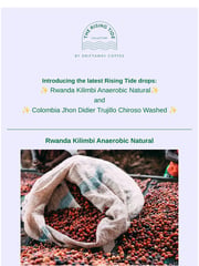 Email Inspiration from Driftaway Coffee