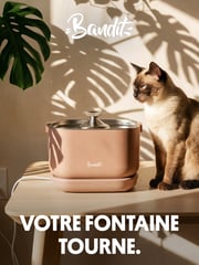 Email Inspiration from Le Bandit