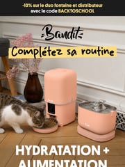 Email Inspiration from Le Bandit