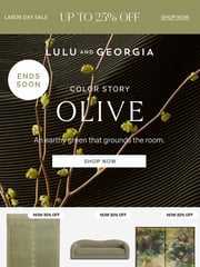 Email Inspiration from Lulu and Georgia