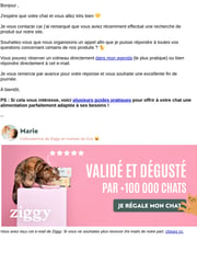 Email Inspiration from Marie de Ziggy