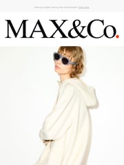 Email Inspiration from MAX&Co.