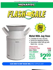 Email Inspiration from Menards