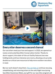 Email Inspiration from Monterey Bay Aquarium