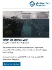 Email Inspiration from Monterey Bay Aquarium