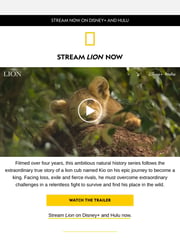 Email Inspiration from National Geographic