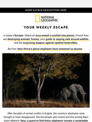 Email Inspiration from National Geographic