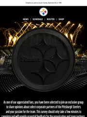 Email Inspiration from Pittsburgh Steelers Partner