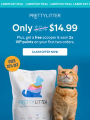 Email Inspiration from PrettyLitter