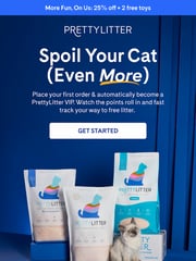 Email Inspiration from PrettyLitter