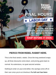 Email Inspiration from Rebel Rabbit