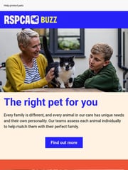Email Inspiration from RSPCA