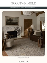 Email Inspiration from Scout & Nimble