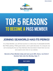 Email Inspiration from SeaWorld Orlando