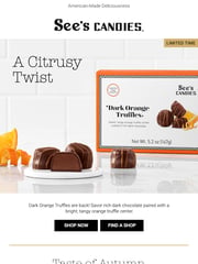 Email Inspiration from See's Candies