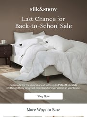 Email Inspiration from Silk & Snow