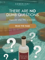 Email Inspiration from Sober(ish)