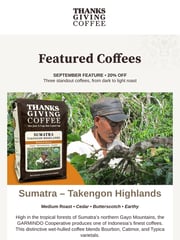 Email Inspiration from Thanksgiving Coffee