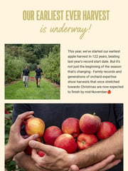 Email Inspiration from Thatchers Cider