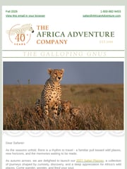 Email Inspiration from The Africa Adventure Company