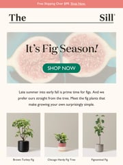 Email Inspiration from The Sill