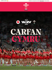Email Inspiration from Welsh Rugby