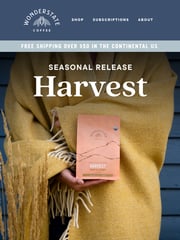 Email Inspiration from Wonderstate Coffee