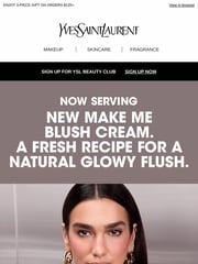 Email Inspiration from YSL Beauty