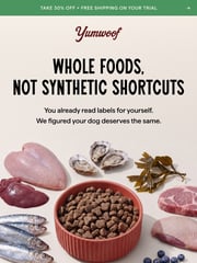 Email Inspiration from Yumwoof