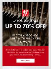 Email Inspiration from ZWILLING