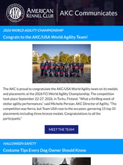 Email Inspiration from AKC Communications