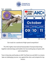 Email Inspiration from AKC.tv