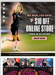 Email Inspiration from Angel City Store