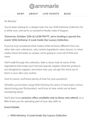 Email Inspiration from Annmarie Skin Care