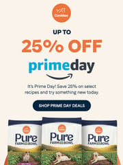 Email Inspiration from Canidae Pet Food