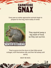 Email Inspiration from Carnivore Snax