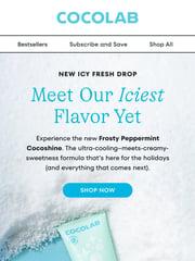Email Inspiration from COCOLAB
