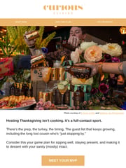 Email Inspiration from Curious Elixirs