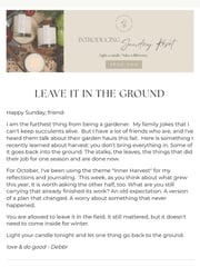 Email Inspiration from Do Good Candle Studio
